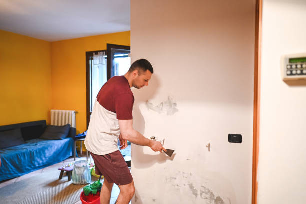 Best Insurance-Related Mold Remediation in Glen Ridge, NJ