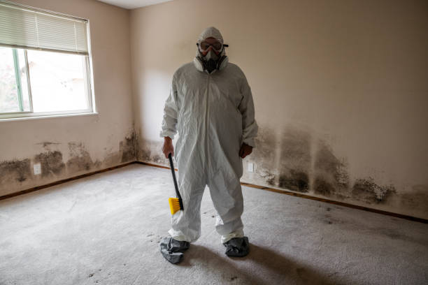 Best Mold Remediation for Specific Building Types in Glen Ridge, NJ